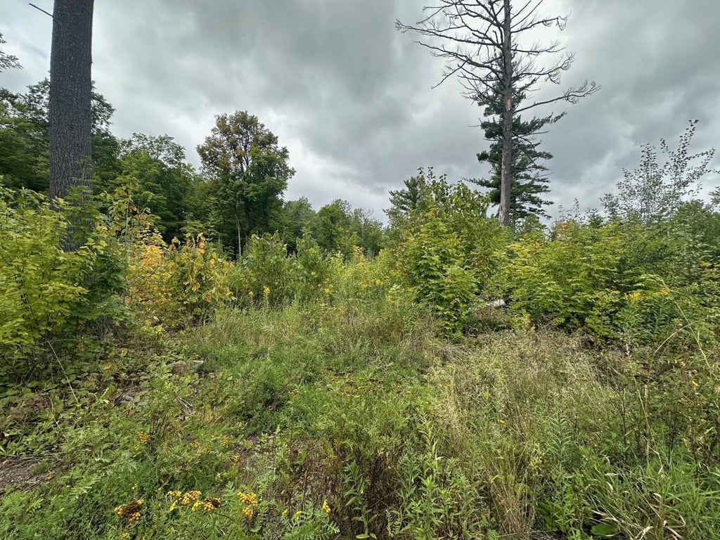 Xxx Highway 45, Cloquet