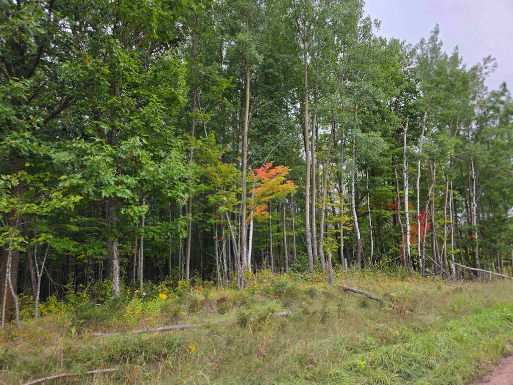 Xxxx Pioneer Road, Barnum