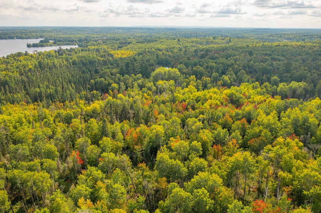 Tbd N White Iron Road, Ely