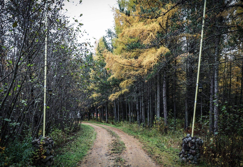 7839 Stromberg Road, Embarrass