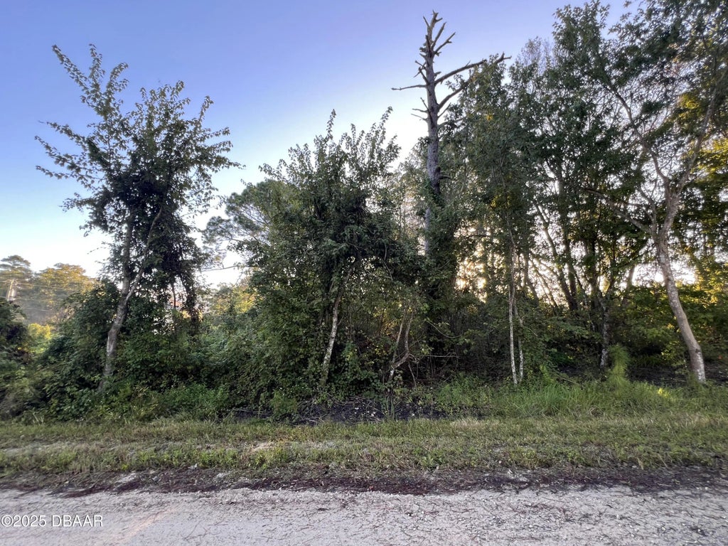 1175 Central Parkway, DeLand