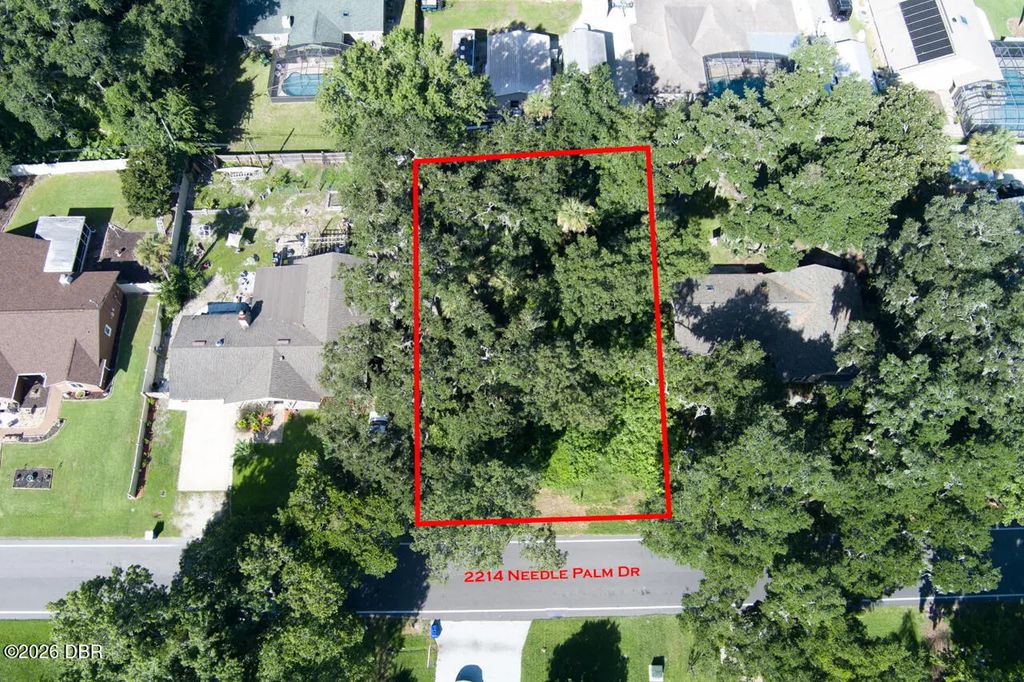 2214 Needle Palm Drive, Edgewater