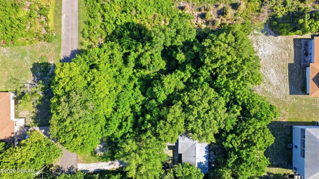246 Clara Vista Street, DeBary