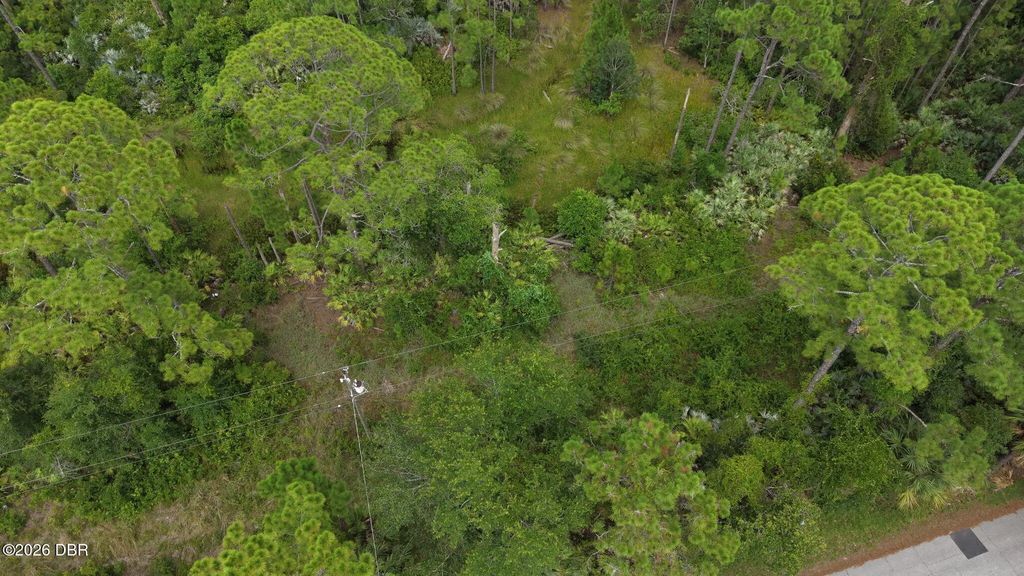 1715 Tatum Boulevard, New Smyrna Beach
