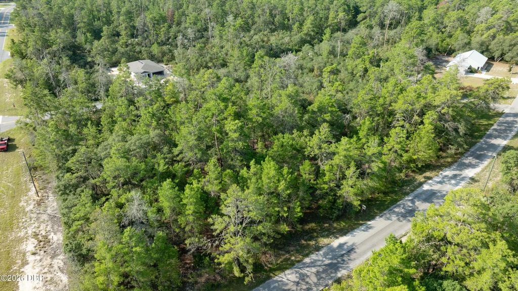 9 Fisher Trail Terrace, Ocklawaha