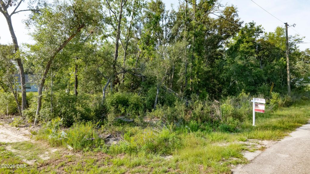 48 Fisher Lane Course, Ocklawaha