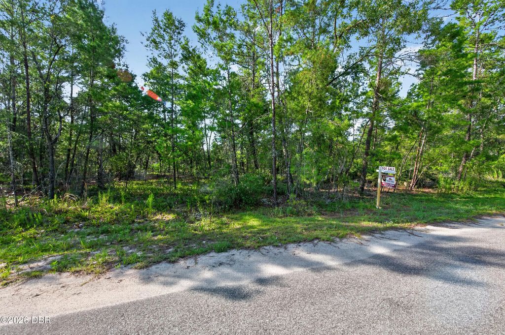 3 Guava Pass, Ocklawaha