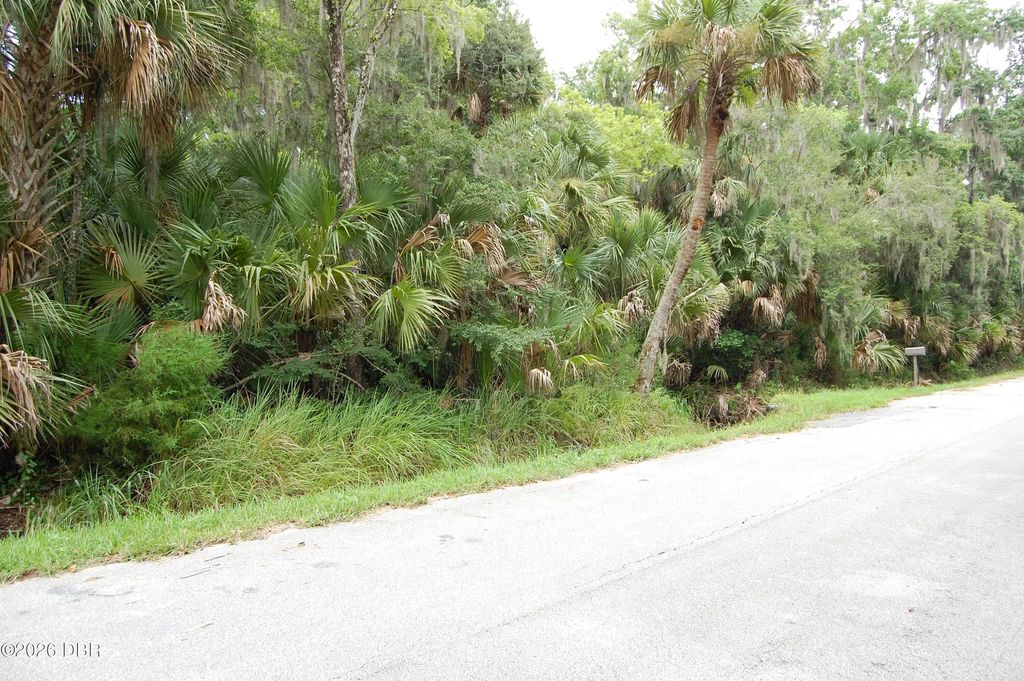 Palm Drive, New Smyrna Beach