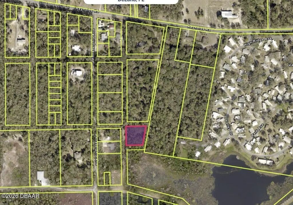 Lot 10 Reynolds Road, DeLeon Springs