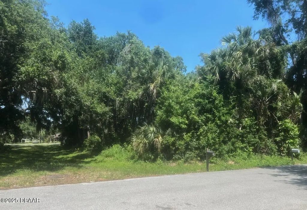 Orange Tree Drive, Edgewater