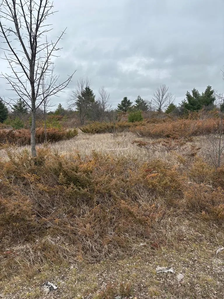 Woodcrest Rd, Sister Bay