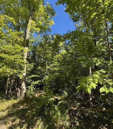 Tbd Fawn Ln, Gills Rock