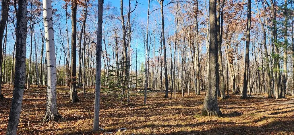 8113 Deer Ridge Ct, Baileys Harbor