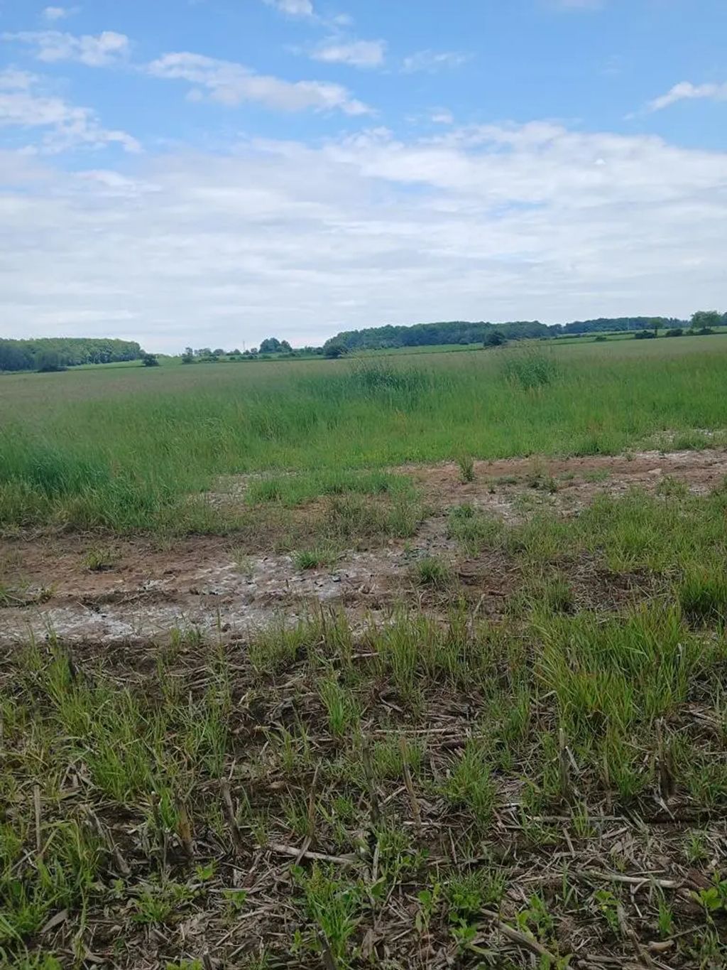 Tbd County Rd Hh, Sturgeon Bay