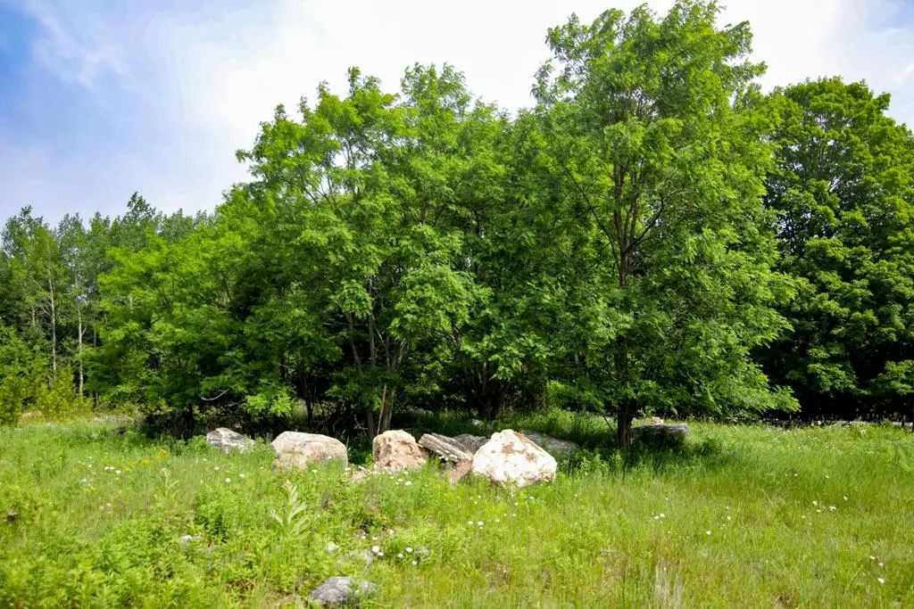Lot 2 County Rd F, Fish Creek