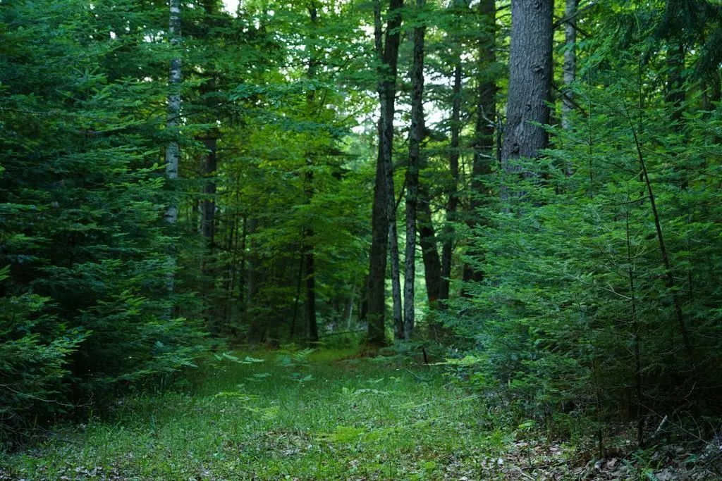 Lot 5 County Rd F, Fish Creek