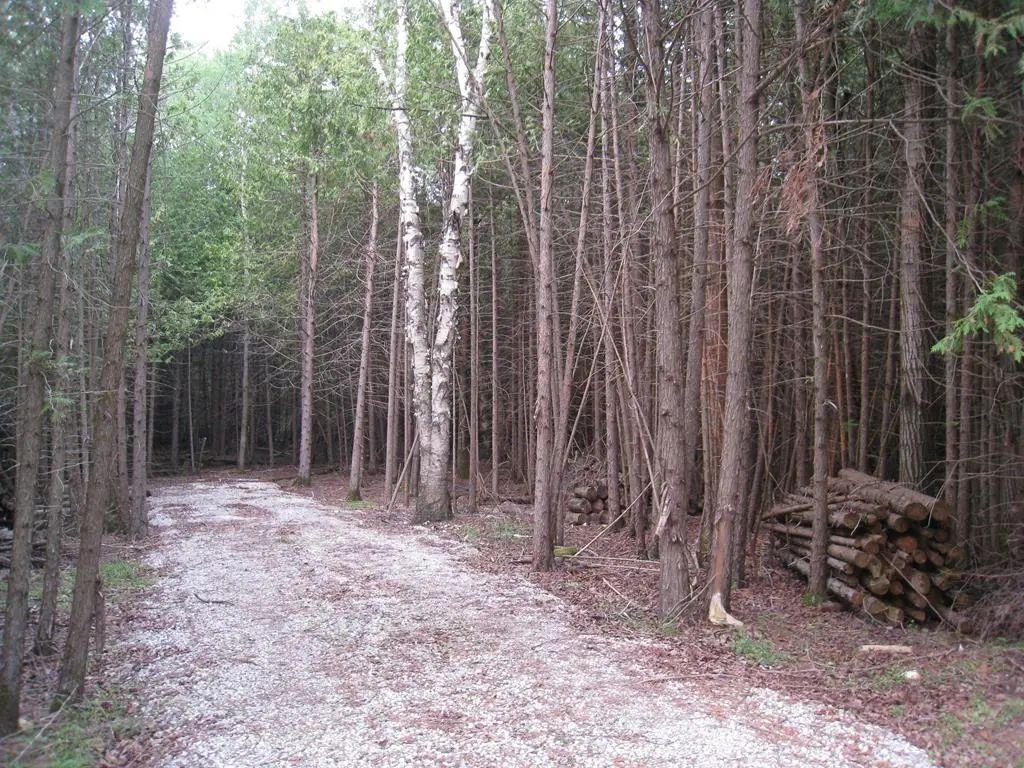 Sleepy Hollow Dr, Forestville