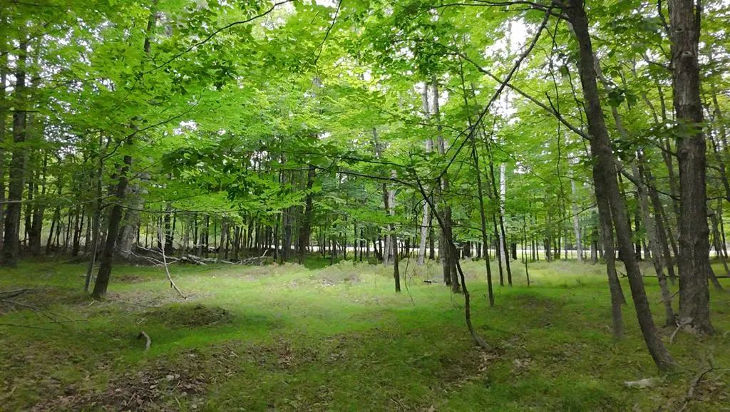 Lot 12 Gibraltar Rd, Fish Creek