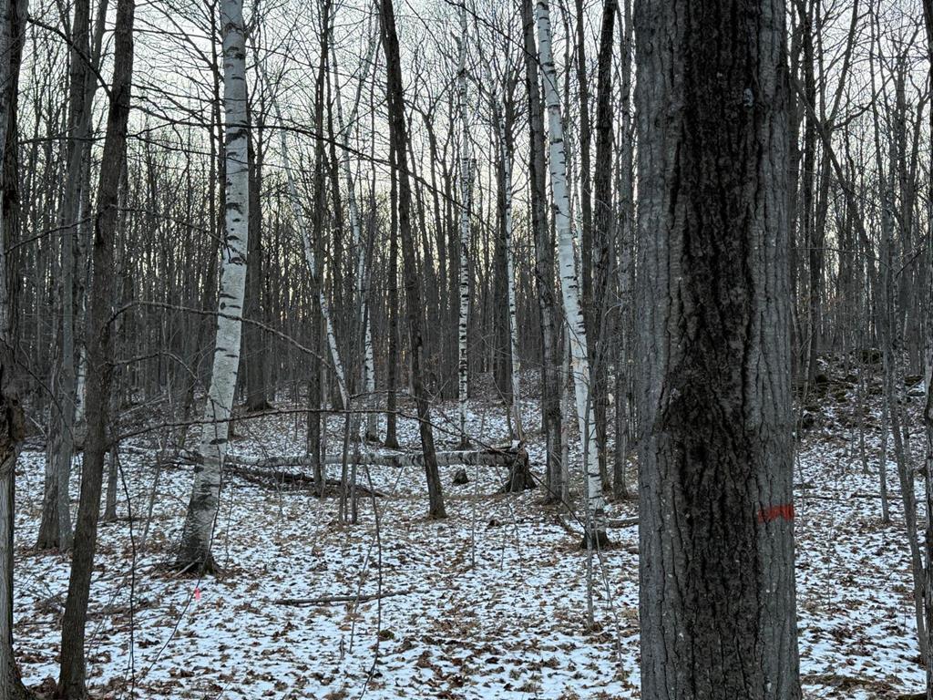 Orchard View Lane, Brussels