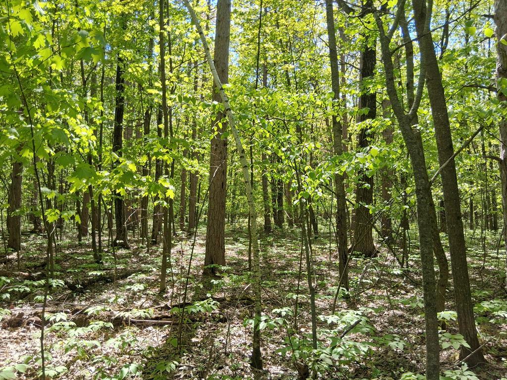 Lot 8 High Bluff Estates Road, Sturgeon Bay