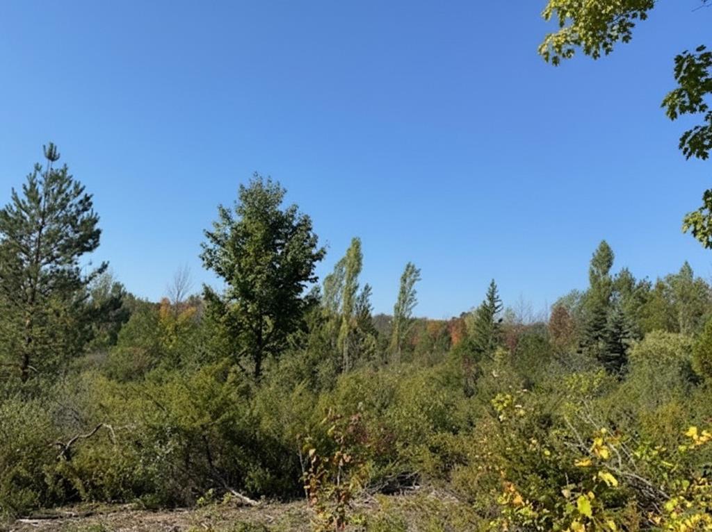 Tbd Townline Road, Ephraim