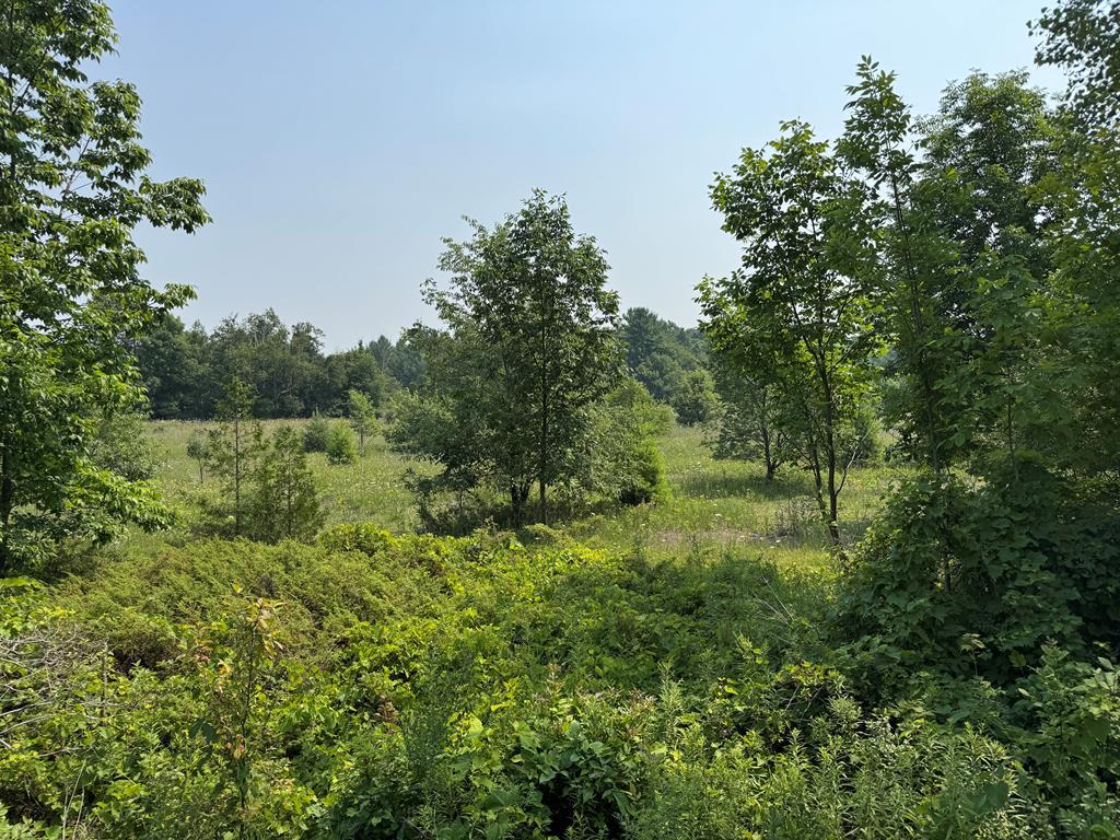 Lot 2 Division Road, Egg Harbor