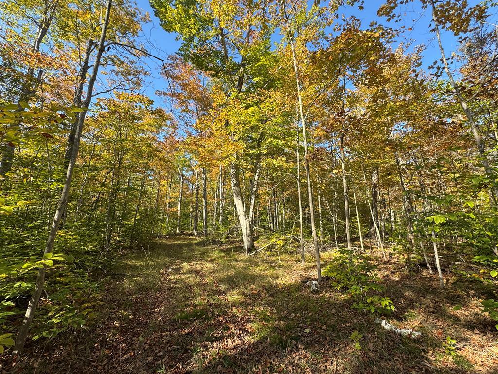 Townline Road, Washington Island