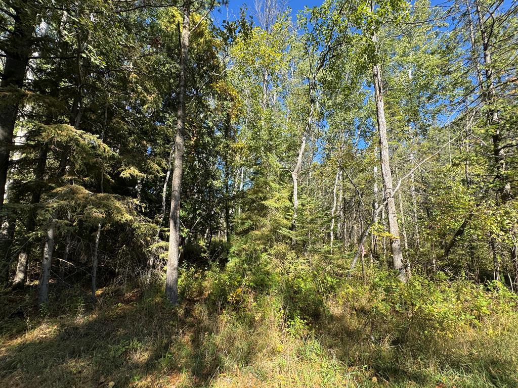 Lot 2 Idlewild Woods Drive, Sturgeon Bay