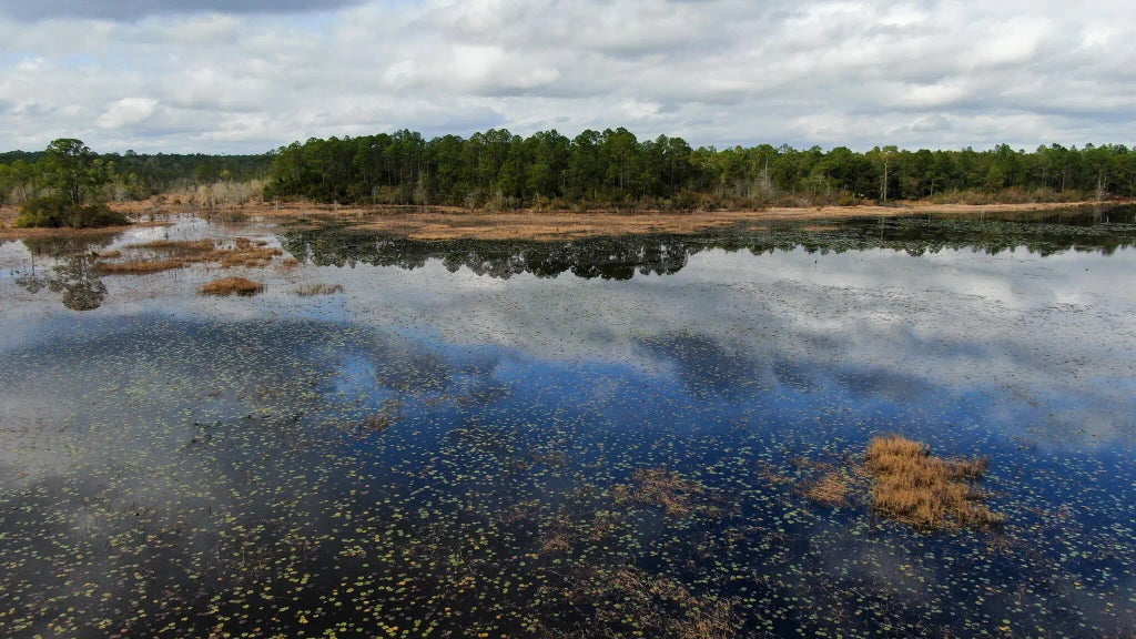 10 of 15 - Lot 6 Marion Drive, DeFuniak Springs, FL