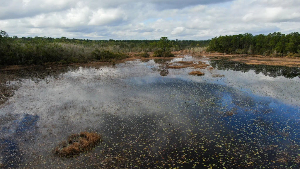 11 of 15 - Lot 6 Marion Drive, DeFuniak Springs, FL