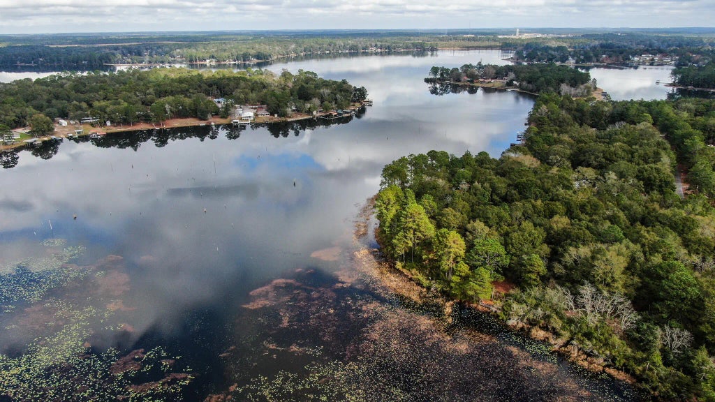 5 of 15 - Lot 6 Marion Drive, DeFuniak Springs, FL