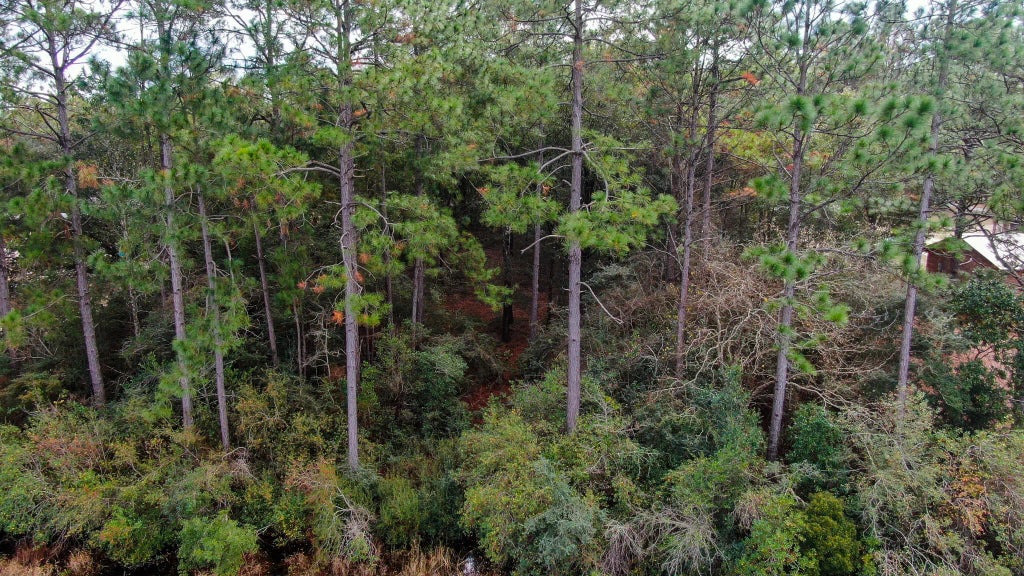 8 of 15 - Lot 6 Marion Drive, DeFuniak Springs, FL