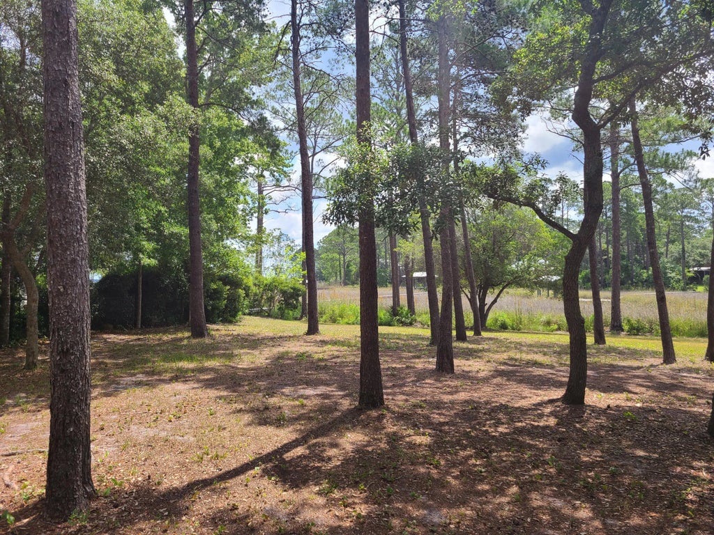 10 of 22 - Lot 2 Indiangrass Lane, Santa Rosa Beach, FL