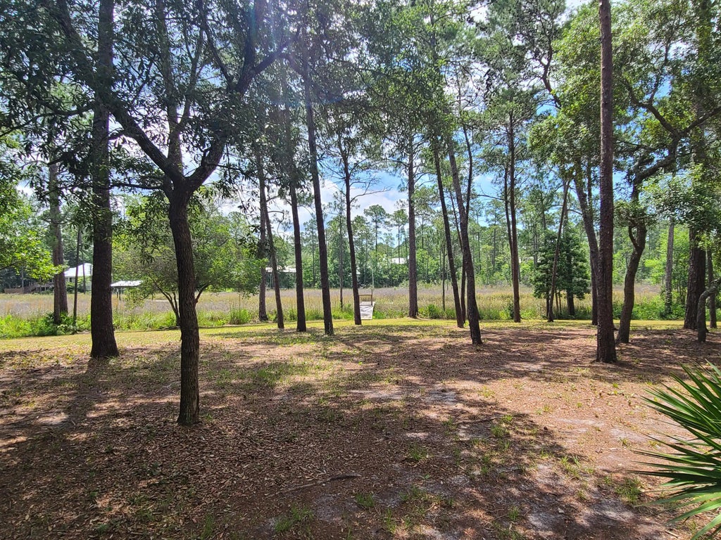 17 of 22 - Lot 2 Indiangrass Lane, Santa Rosa Beach, FL