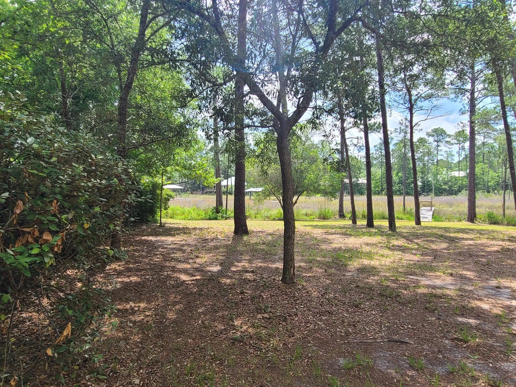19 of 22 - Lot 2 Indiangrass Lane, Santa Rosa Beach, FL