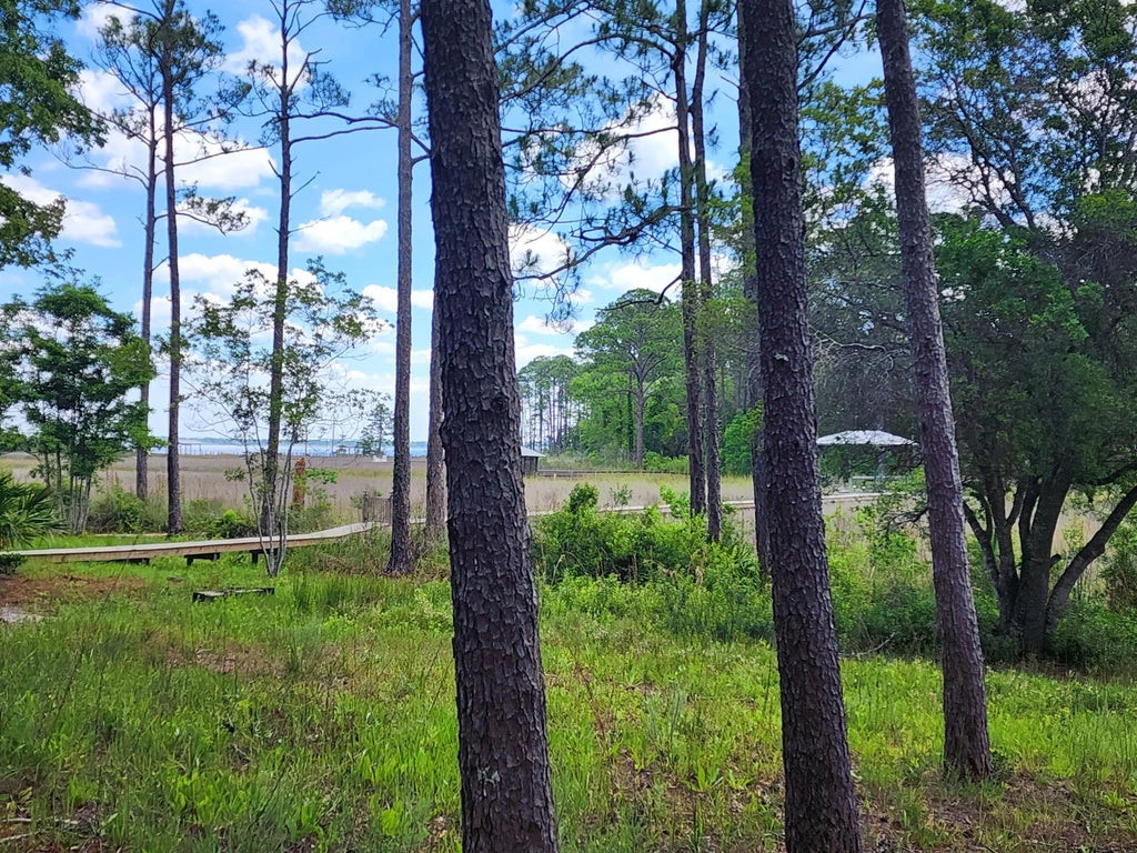 5 of 22 - Lot 2 Indiangrass Lane, Santa Rosa Beach, FL