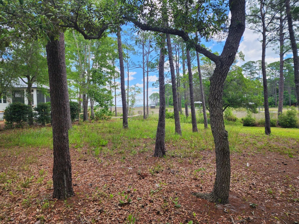 6 of 22 - Lot 2 Indiangrass Lane, Santa Rosa Beach, FL