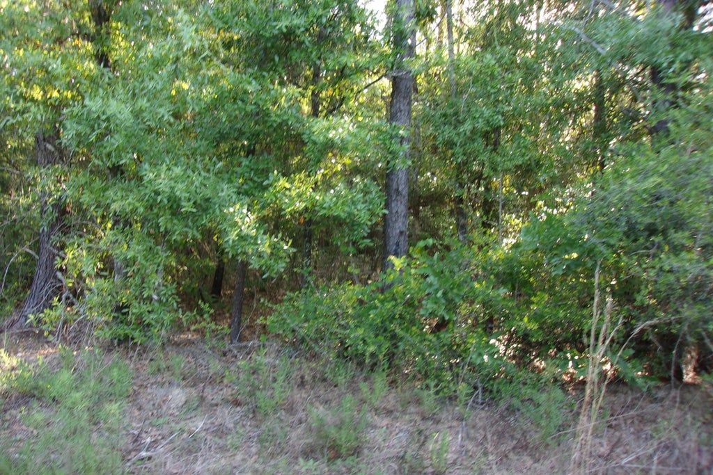 7 of 8 - Xx E Bunting Way, Crestview, FL