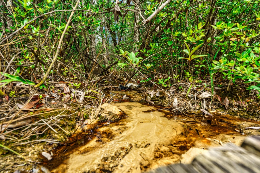 18 of 22 - 3985 E Us 90 Highway, Crestview, FL