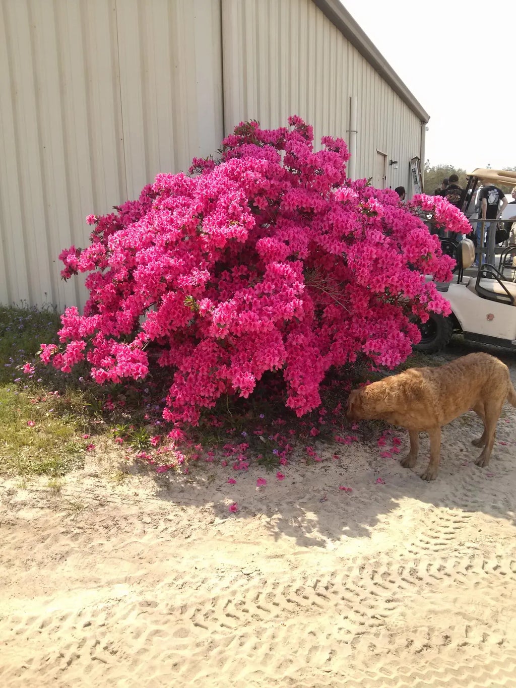 7 of 22 - 3985 E Us 90 Highway, Crestview, FL