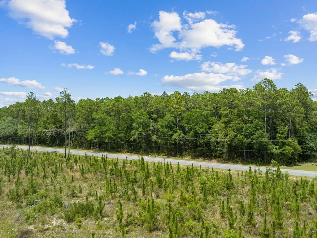 10 of 20 - New Lot Co Hwy 3280, Freeport, FL