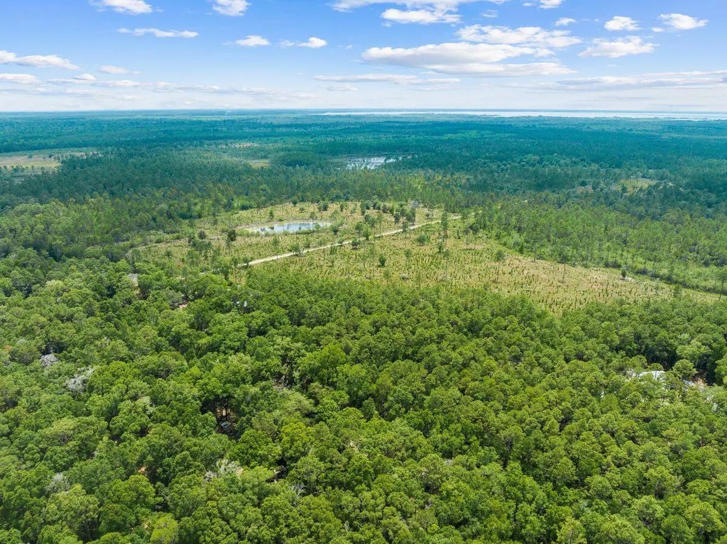 14 of 20 - New Lot Co Hwy 3280, Freeport, FL