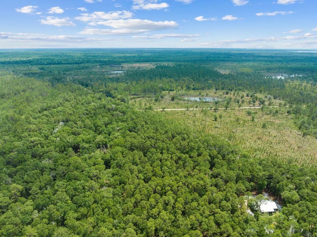 15 of 20 - New Lot Co Hwy 3280, Freeport, FL