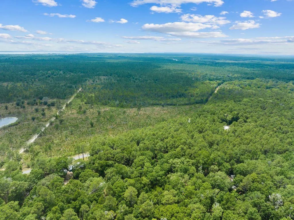 16 of 20 - New Lot Co Hwy 3280, Freeport, FL