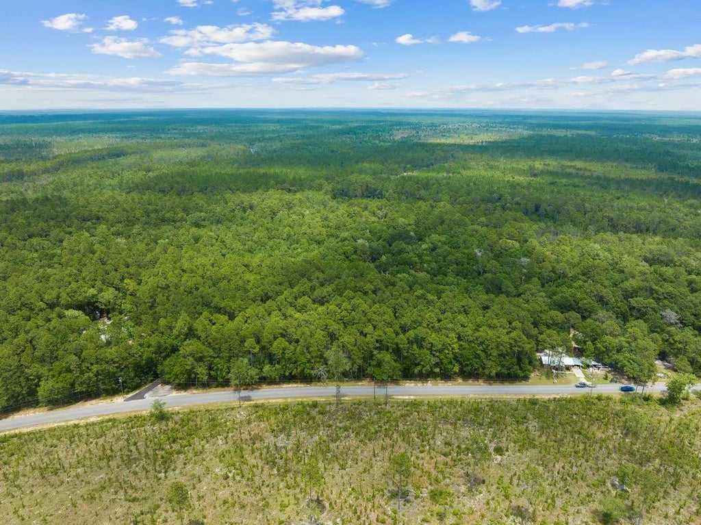 17 of 20 - New Lot Co Hwy 3280, Freeport, FL