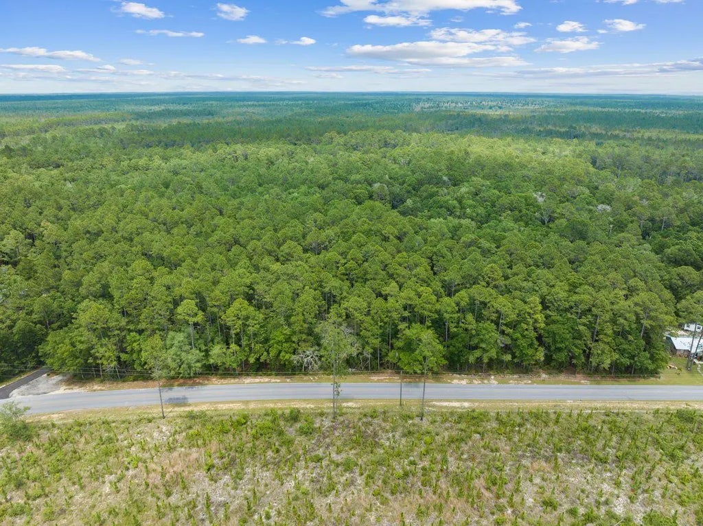 19 of 20 - New Lot Co Hwy 3280, Freeport, FL