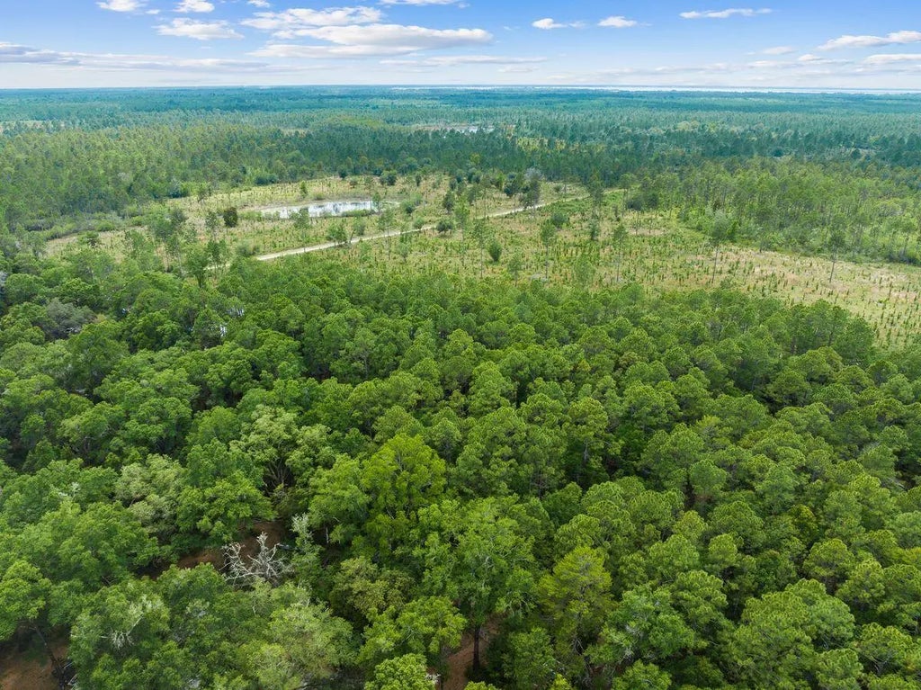 8 of 20 - New Lot Co Hwy 3280, Freeport, FL