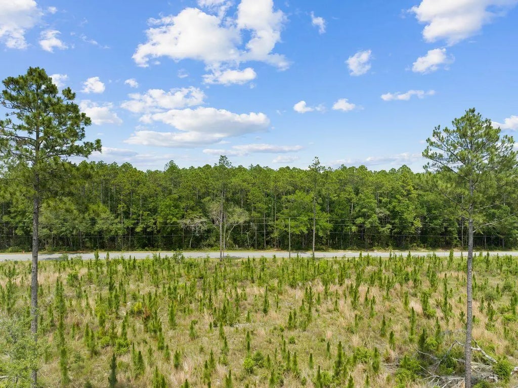 9 of 20 - New Lot Co Hwy 3280, Freeport, FL