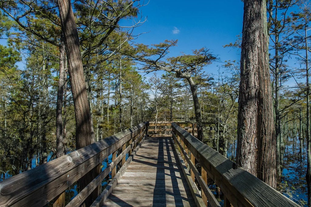 43 of 47 - 20 Cypress Walk, Santa Rosa Beach, FL