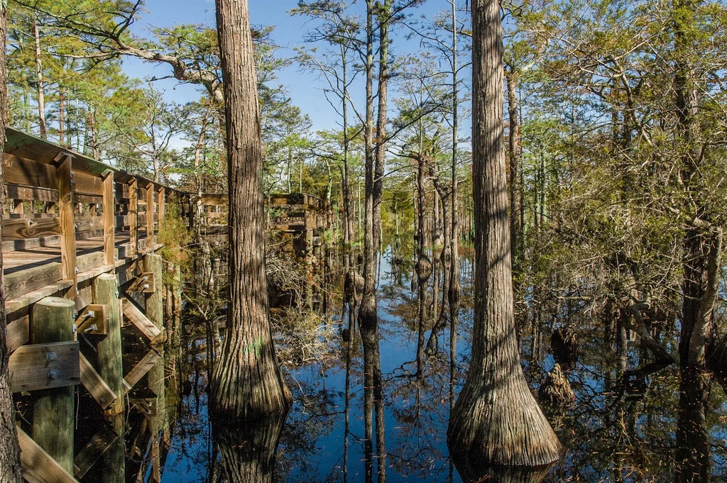 44 of 47 - 20 Cypress Walk, Santa Rosa Beach, FL